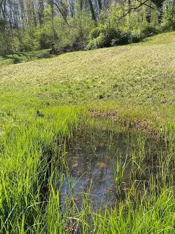 BÃ¶smÃ¶sli Nature Reserve