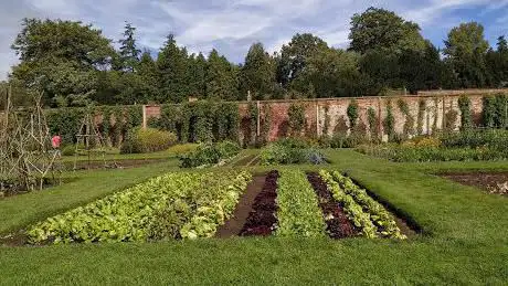 The Walled Garden