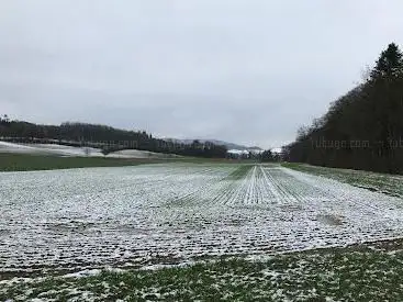 Hochwasser-Rückhaltebecken Ried