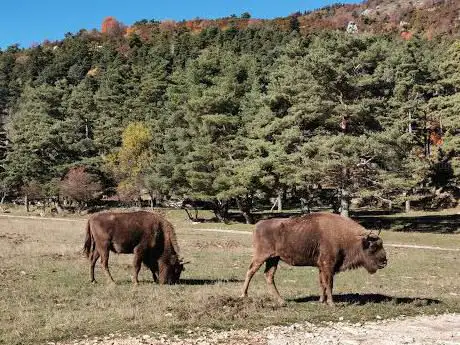 Réserve des Monts d'Azur