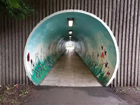 Alice in Wonderland tunnel