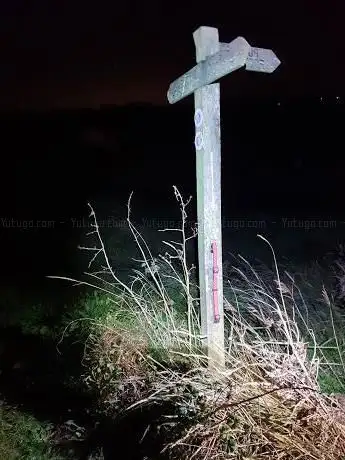 Oscar's Signpost