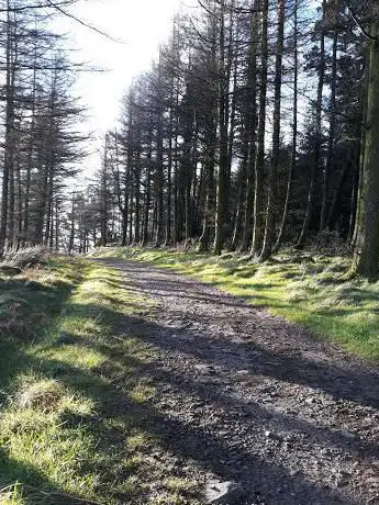 Nant Gelliwion