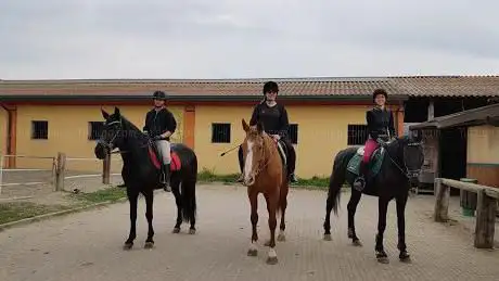 Centro Equestre Le Stelle A.S.D.