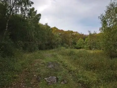 Snitterfield Bushes Nature Reserve