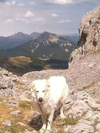 Pico Quimboa Alto