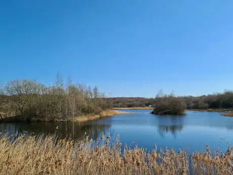 Johnny Brown's Common