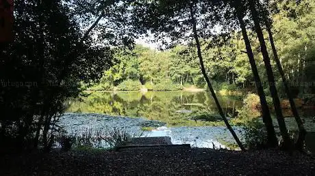 Pear Wood Nature Reserve