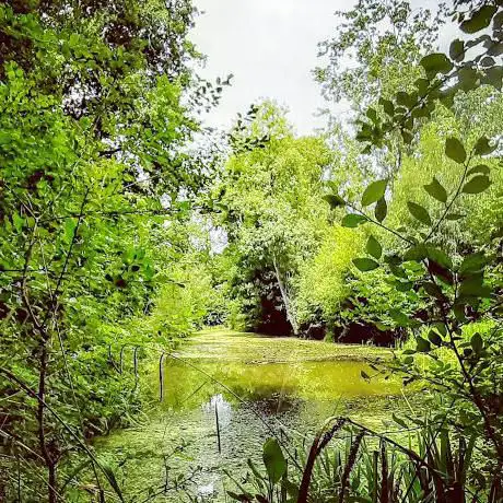 Aubrey Buxton Nature Reserve (SSSI)