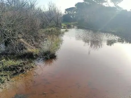 Sterpaia - Parco Costiero