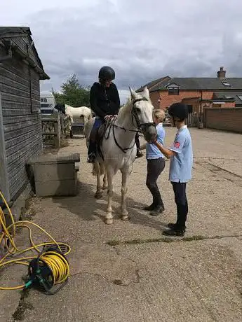 Chestnut Farm Stables