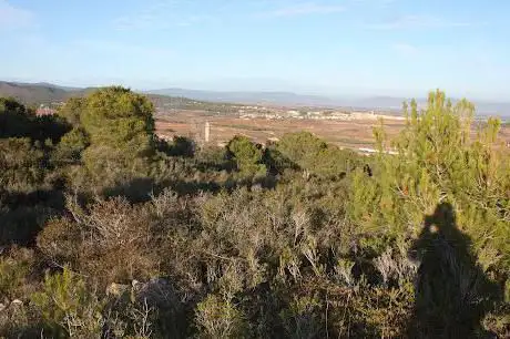 Puig de La Pedrera