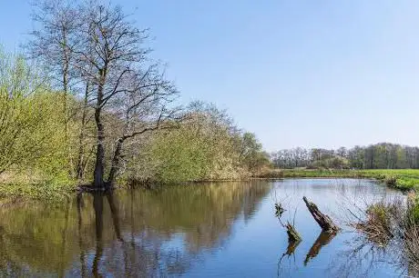 De Maatjes Natuurreservaat