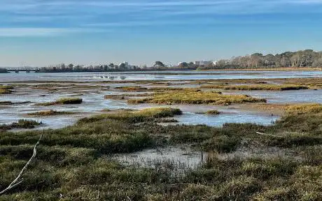 Upton County Park Lookout