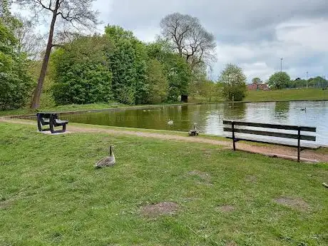 Berry Hill Park Lake