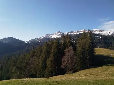 Schlossstein Tüelboden