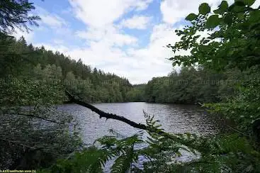 Hundscheiderweiher - SaarhÃ¶lzbach-Pfad