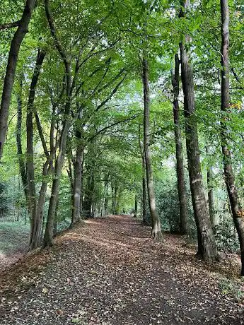 Berkhamsted Common