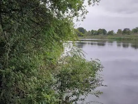 Saltmarshe Delph Nature Reserve