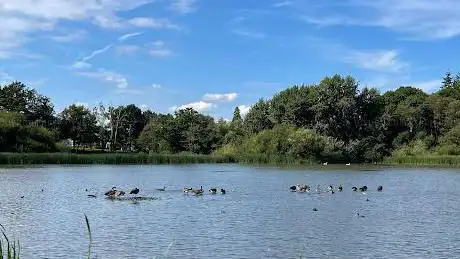 Warnham Local Nature Reserve