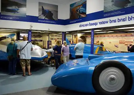 Campbell Bluebird Exhibition