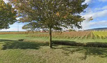 Loge de vigne totem