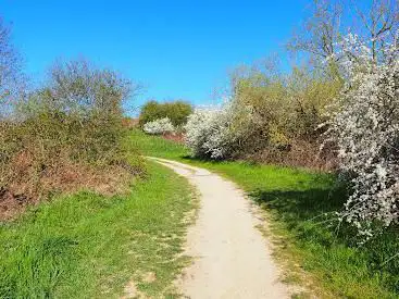 Jardins du Haut des Vignes