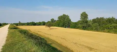 Passeggiate sull'argine del Piave