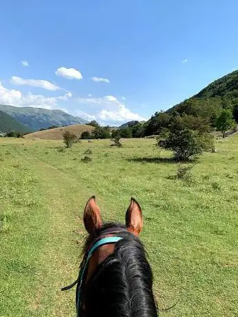 Il Ranch - Maneggio