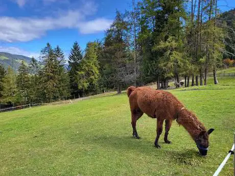 Wildpark Toblach