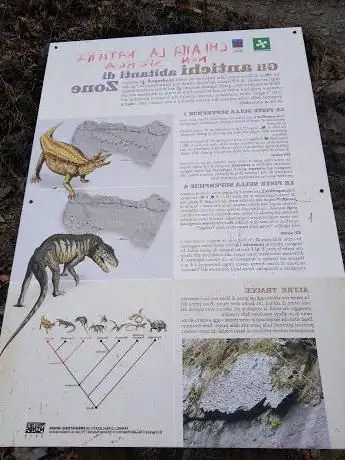 Impronte dinosauri