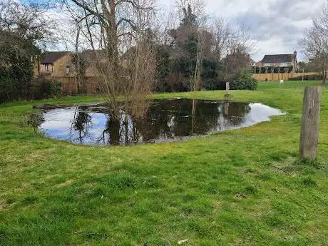 Addison Howard Park Wildlife Pond