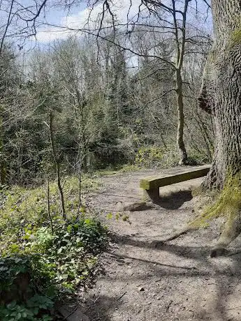 Corton Woods Nature Reserve