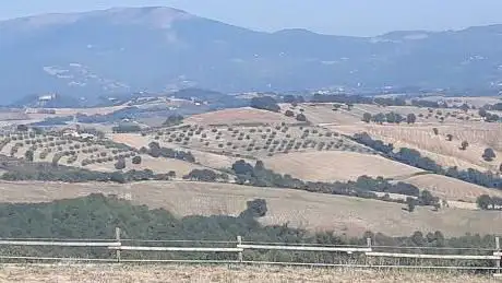 cimitero di monteverde