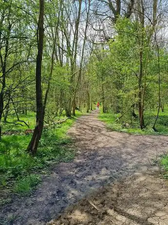 Overhall Grove Nature Reserve