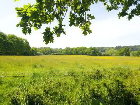 Happy Bottom Nature Reserve