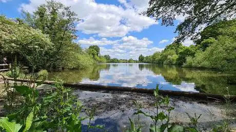 Earlswood Common