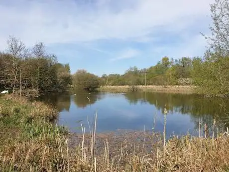 Foxearth Meadows Nature Reserve