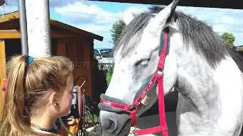 Equestrian Center Fontay