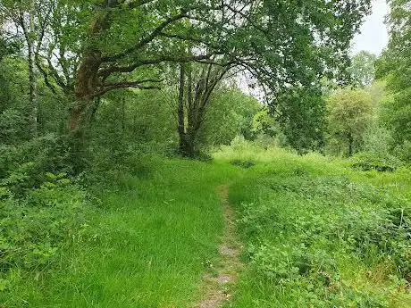 Bentley Station Meadow