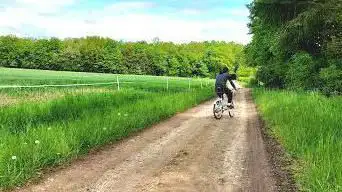 Forêt de parroy