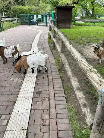 Kleintiergarten im Grugapark