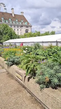 St Thomas' Riverside Garden