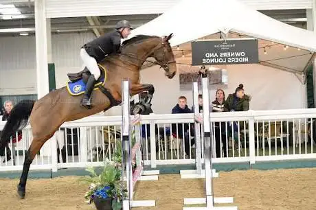 High Legh Riding Centre