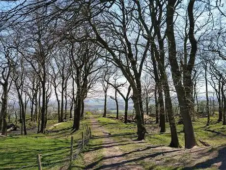 Billinge Hiking walk