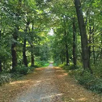 Stadsbos Deinze of Goed te Parijs