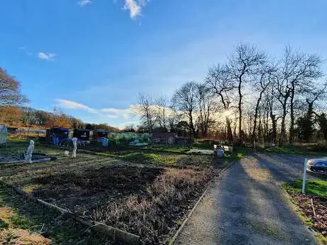 Sayes Court Allotments