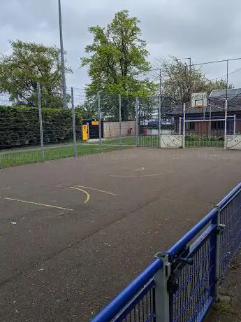 Basketball Court