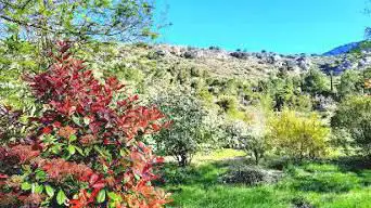 de Foncaude Botanical Garden