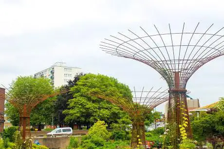 Chester Supertrees